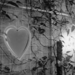 What is Brand Heart?
