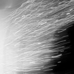 The Expanding Universe of Web Hosting